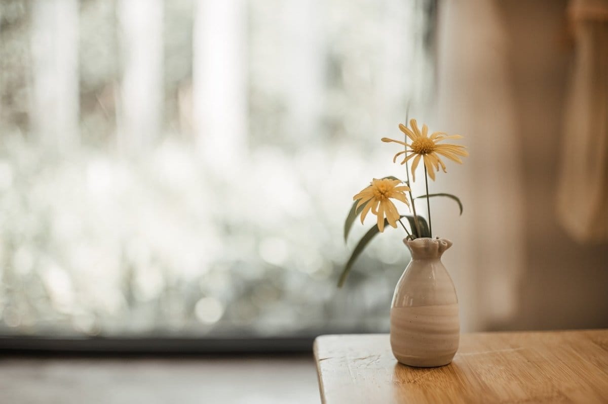 Spring Cleaning Services Vancouver Spring Cleaning Services Vancouver